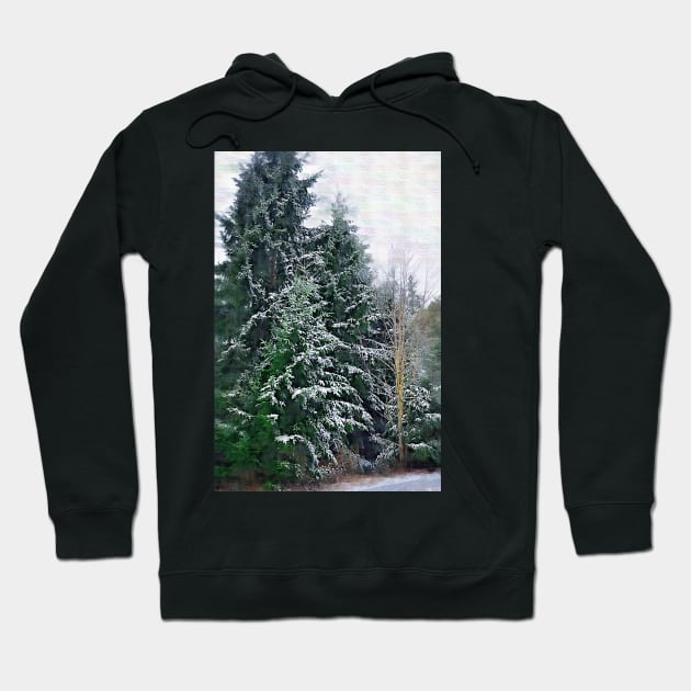 Snow Covered Pine Hoodie by KirtTisdale